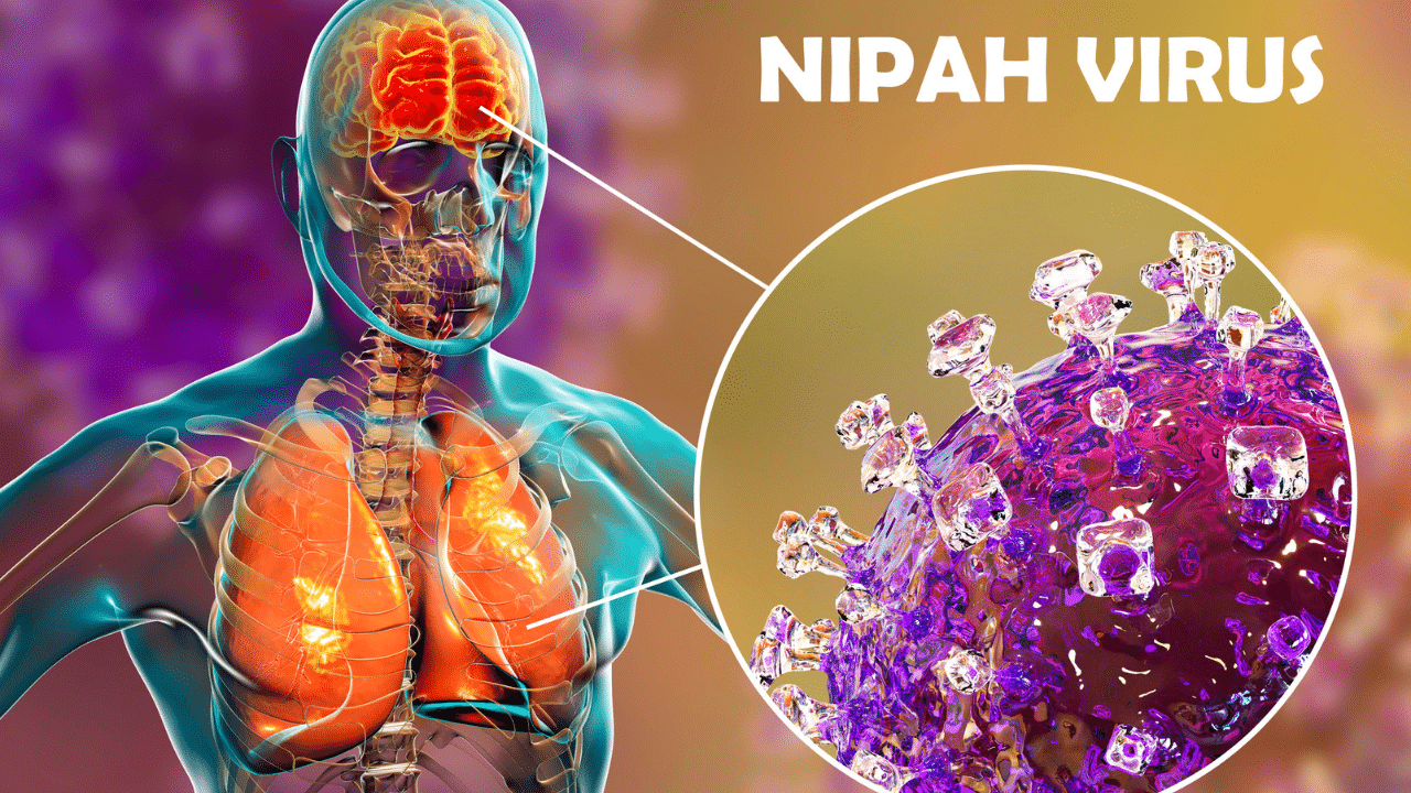 Deadly Nipah Virus in Kerala Claims Two Lives