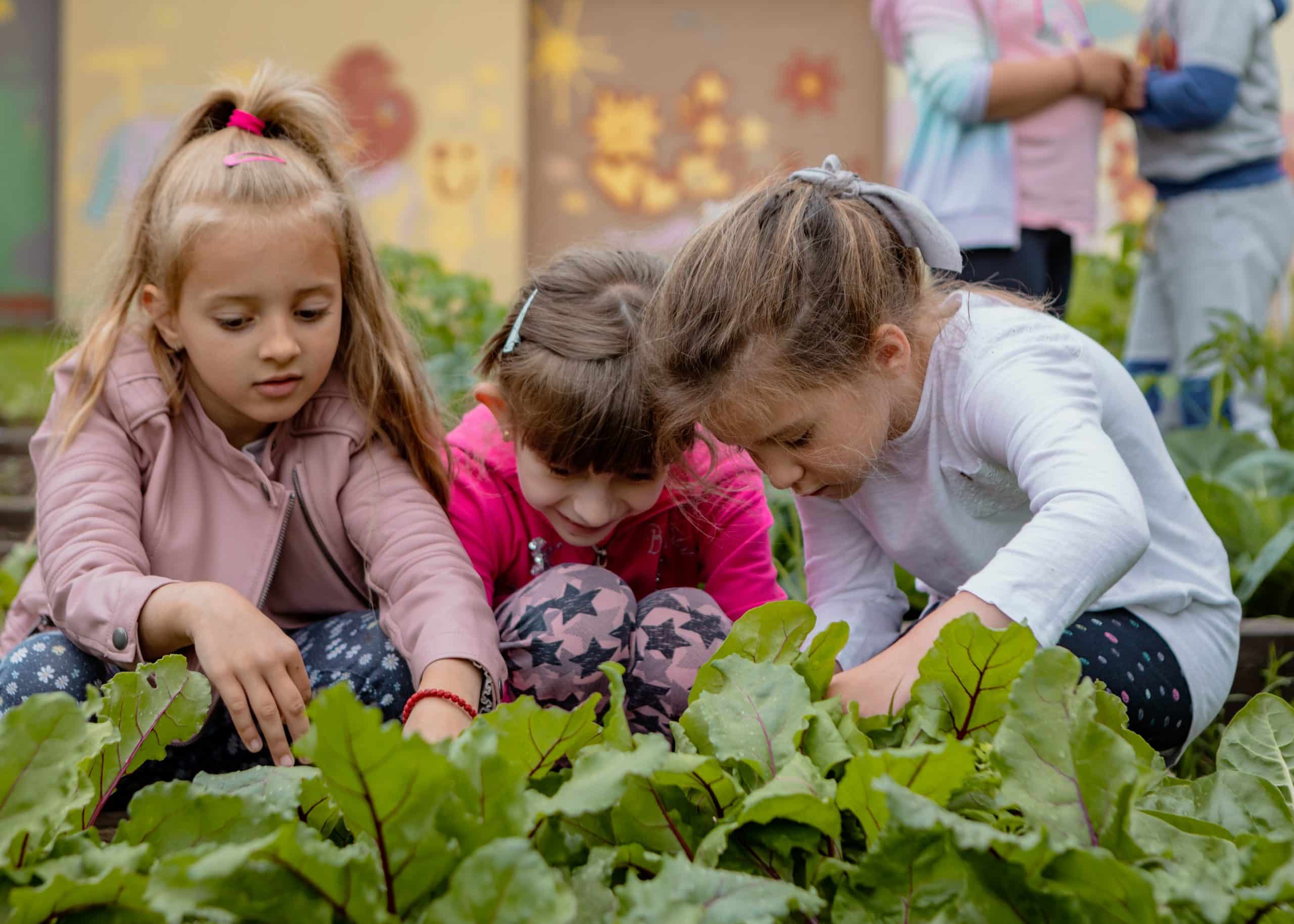 Gardening Fertile Ground for Nurturing Childrens Growth and Appreciation