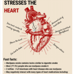 Marijuana Heart Risks