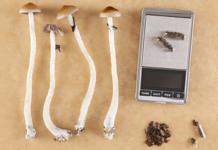 Psilocybin for Depression: New Study Shows Emotional Breakthroughs and Ego Dissolution Boost Expectations