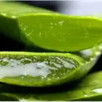 The Power of Aloe Vera Juice