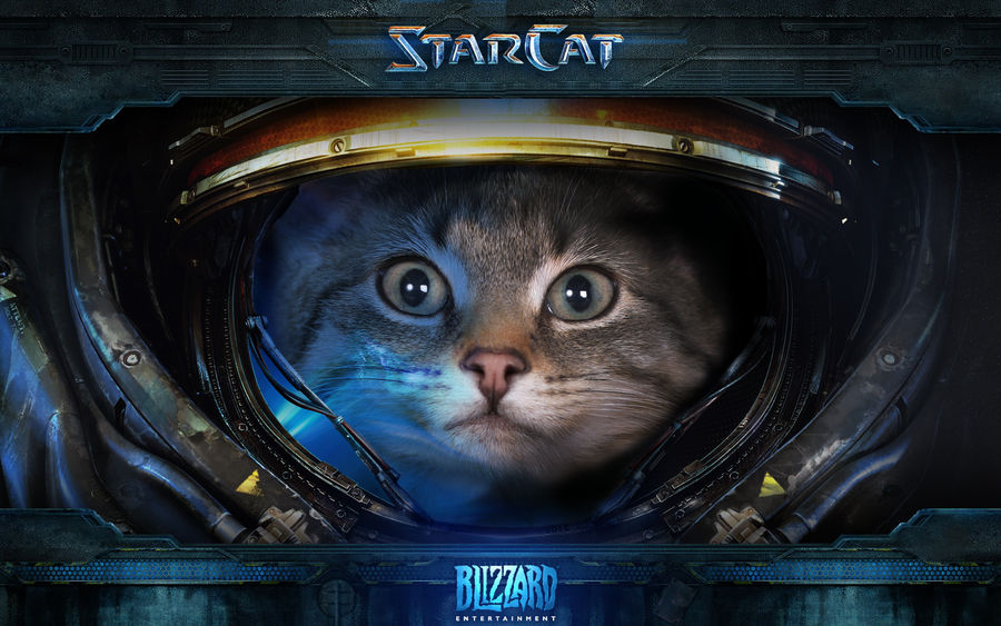 starcat by crazymaker d4l6cm3 fullview