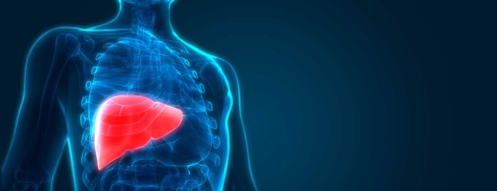 Liver Cancer 3 Things You Should Know hero