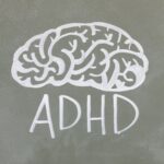 ADHD Gene Function