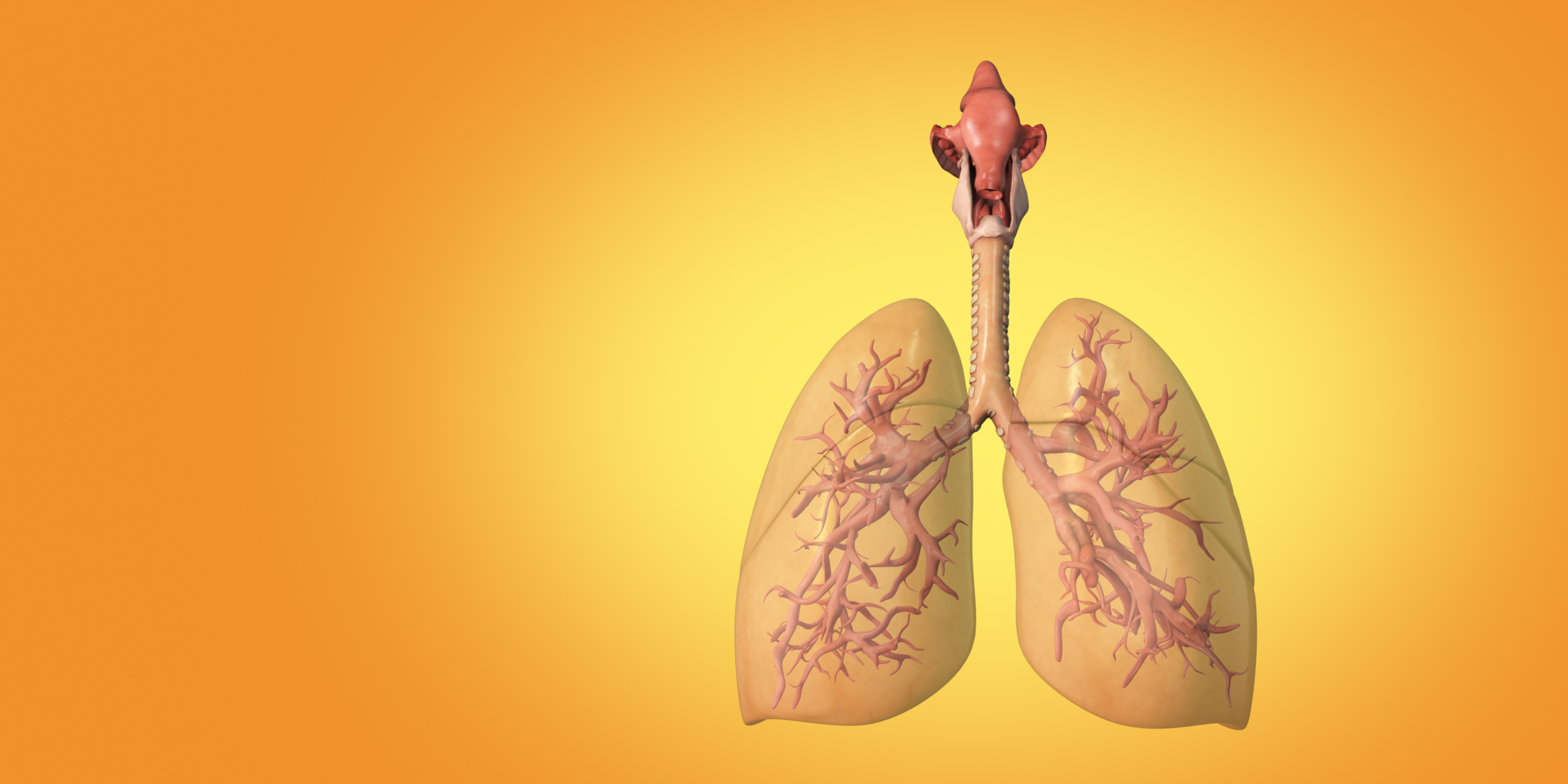 JN 1 Twist: Puzzling Gut Punch or Unorthodox Lung Lunge? (The Variant’s Curious Choice)