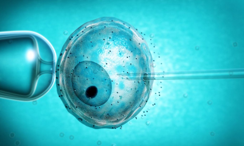 IVF Nightmare: Defective Liquid Destroys Embryos, Lawsuits Filed