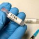 Zika Vaccine Pregnancy