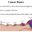 Cancer Basics