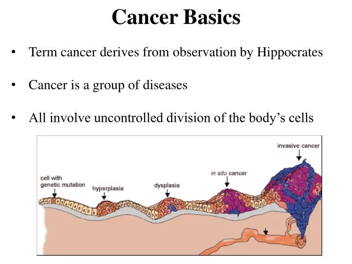 cancer basics n