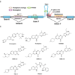 RNA Splicing Drugs