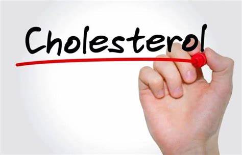 Conquering Cholesterol: How Medication and Lifestyle Changes Work Together