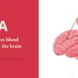 Acute Ischemic Stroke Treatment - tPA vs. EVT