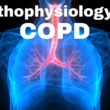 Pathophysiology of COPD Explained