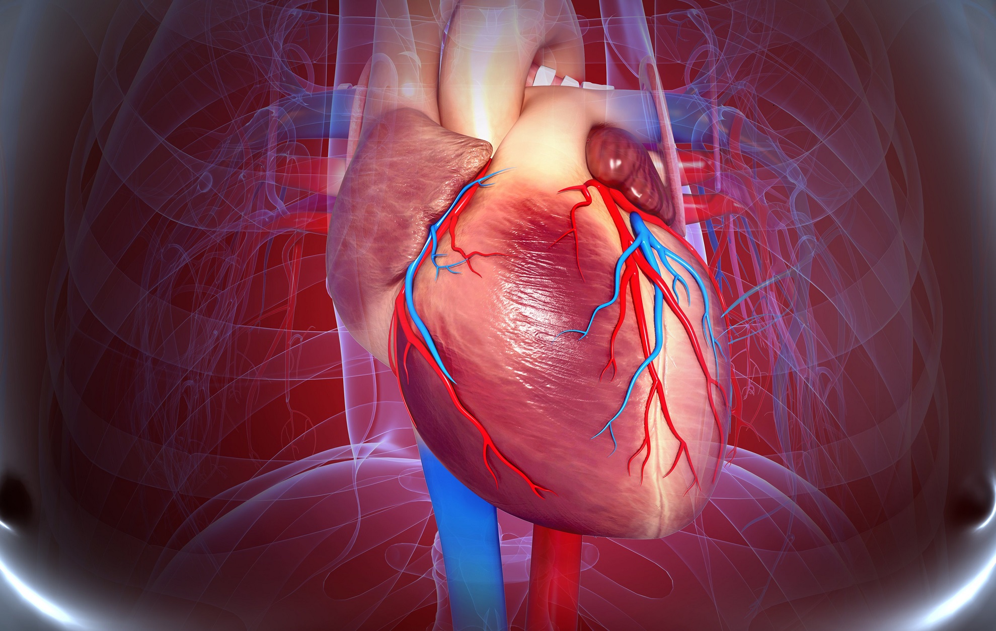 Understanding the Different Types of Heart Disease: Symptoms, Causes & Treatment