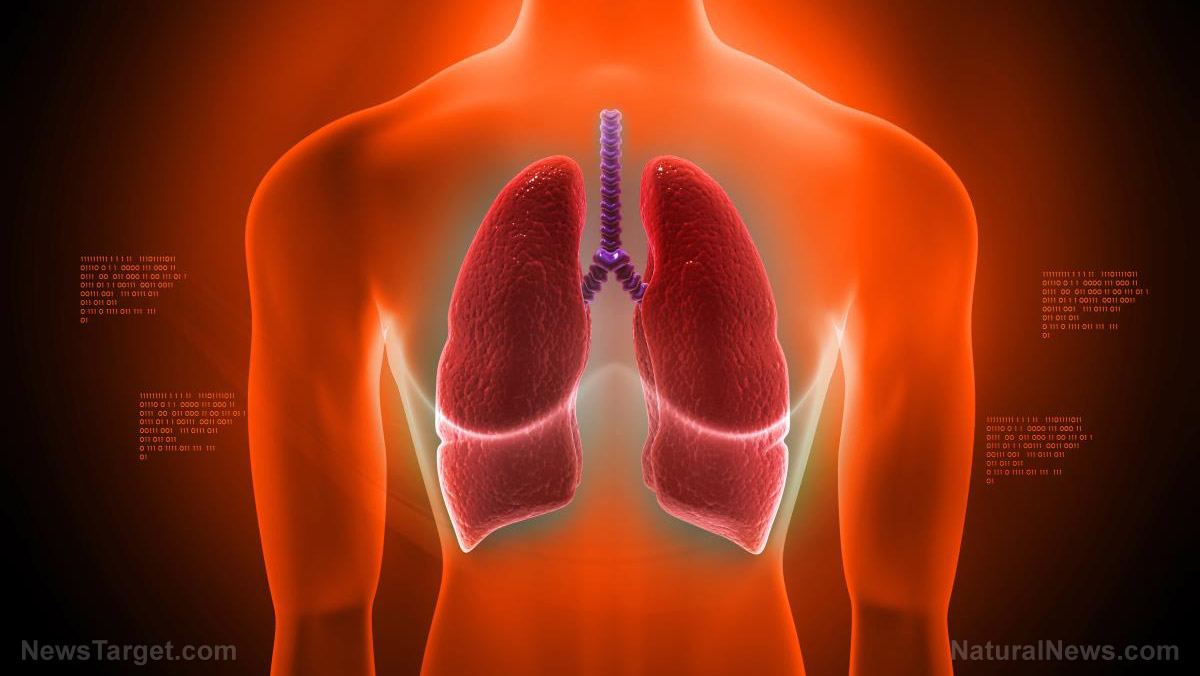 Slowing Down the Clock: Understanding Lung Function Decline in COPD