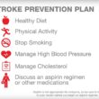 Public Health Strategies for Stroke Prevention