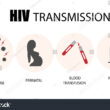 HIV transmission