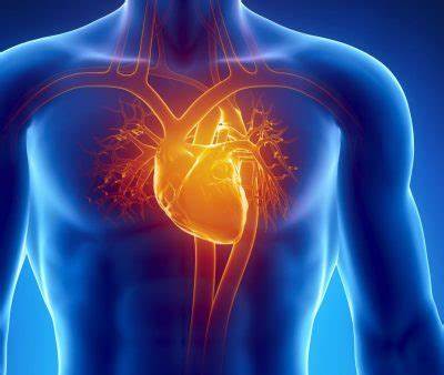 Public Health vs. Heart Disease: Winning Strategies for Prevention & Control