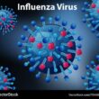 Influenza Media Coverage