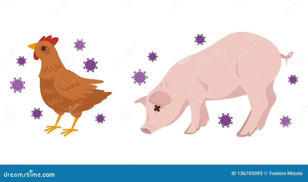 illustration avian influenza swine flu vector original paintings drawing 136705093