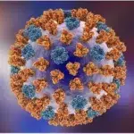 Influenza Virus Structure