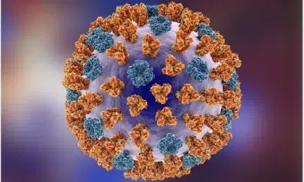 Influenza Virus Up Close: Unveiling Hemagglutinin, Neuraminidase & the Viral Genome