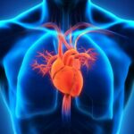 Air Pollution and Cardiovascular Risk