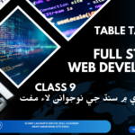 Web Development Course in Sindhi