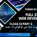 Web Development Course in sindhi Class 12